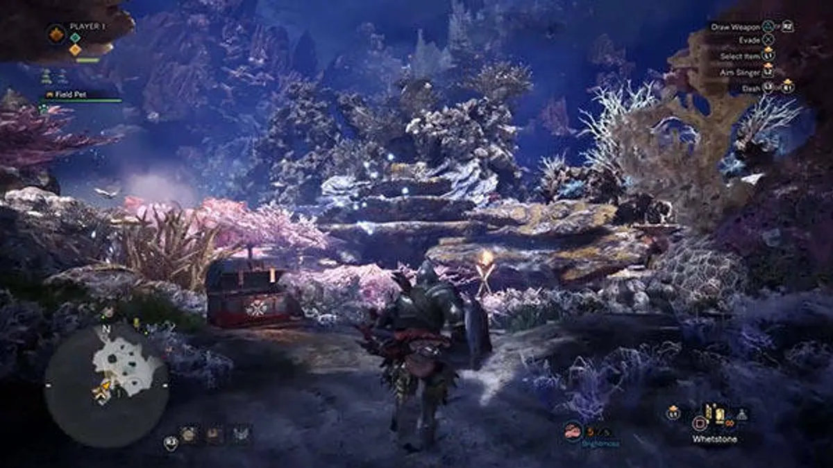 Hlavní obrázek článku: 9 minut dlouhé video z Monster Hunter: Wolrd ukazuje lokaci Coral Highlands