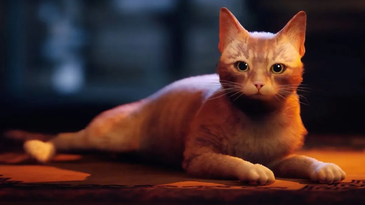 Hlavní obrázek článku: Launch trailer na kočičí dobrodružství Stray