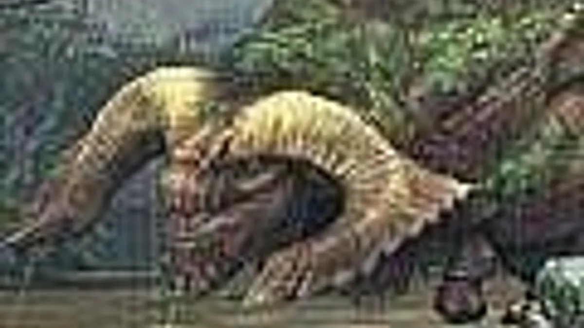 Hlavní obrázek článku: Capcom by chtěl vydat Monster Hunter Portable 3rd i v Evropě