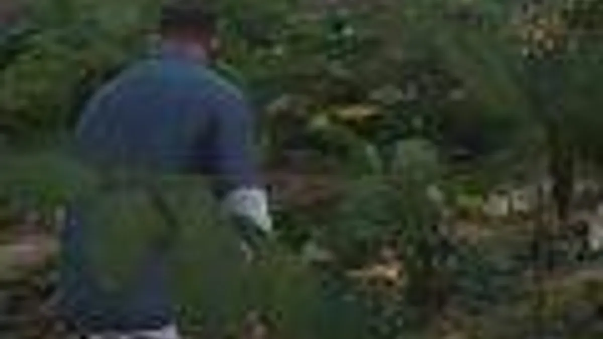 Hlavní obrázek článku: Srovnávací video trávy v Grand Theft Auto V