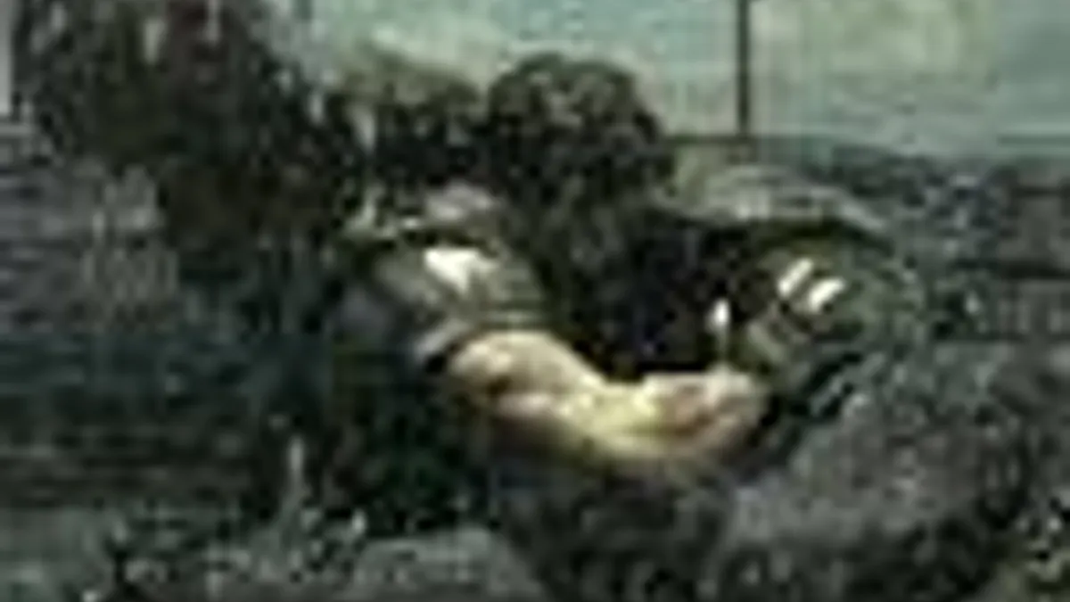 Hlavní obrázek článku: Koupání s Aligátory v Resident Evil 5