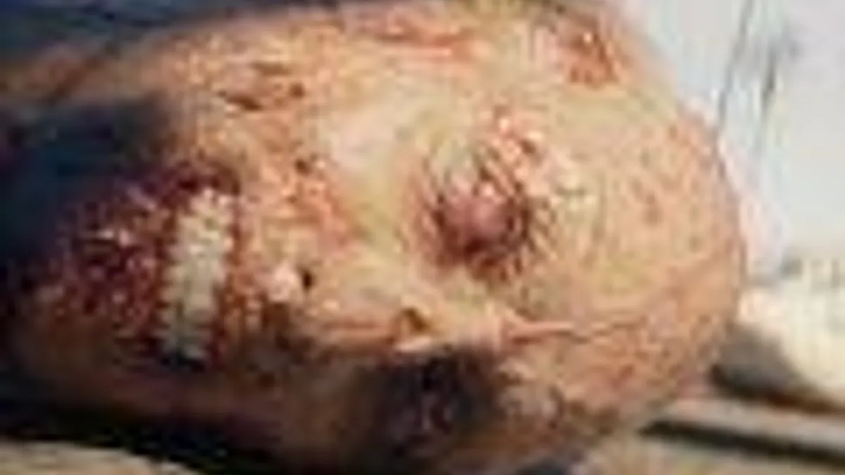 Hlavní obrázek článku: Oznámen Dead Island 2 + úžasný oznamující trailer