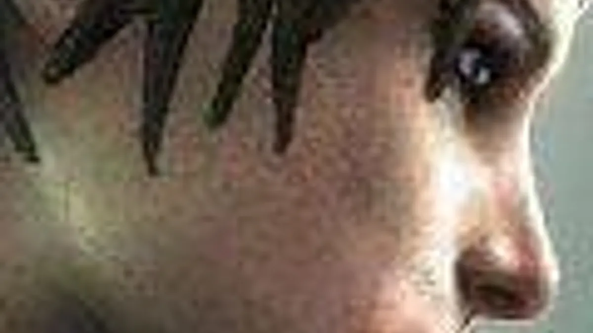 Hlavní obrázek článku: Oznámena Hydrophobia Pure