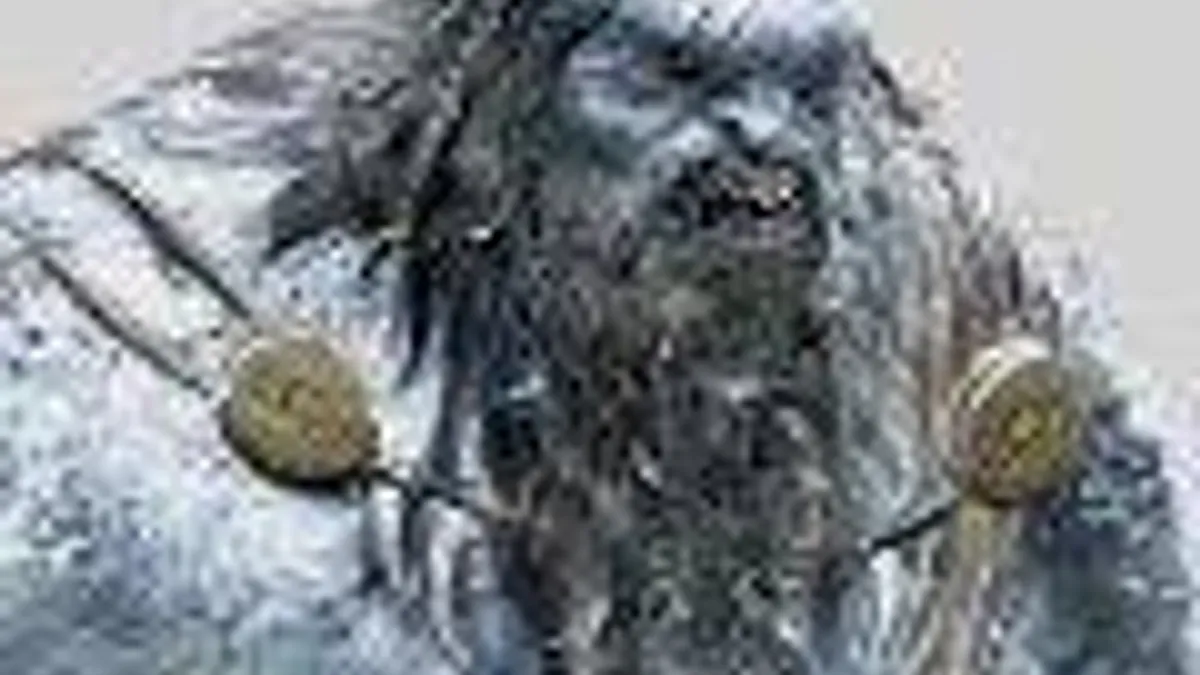 Hlavní obrázek článku: Zaklínač 3: Divoký hon – design ledového obra