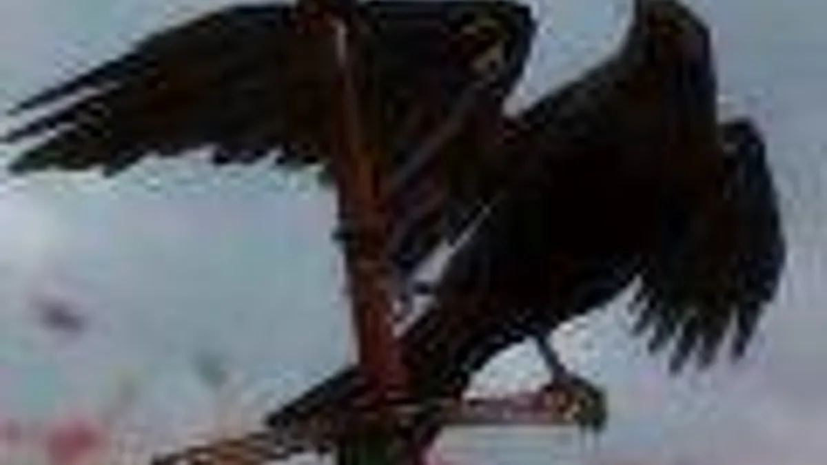 Hlavní obrázek článku: Warhorse Studios oznamuje Kingdom Come: Deliverance