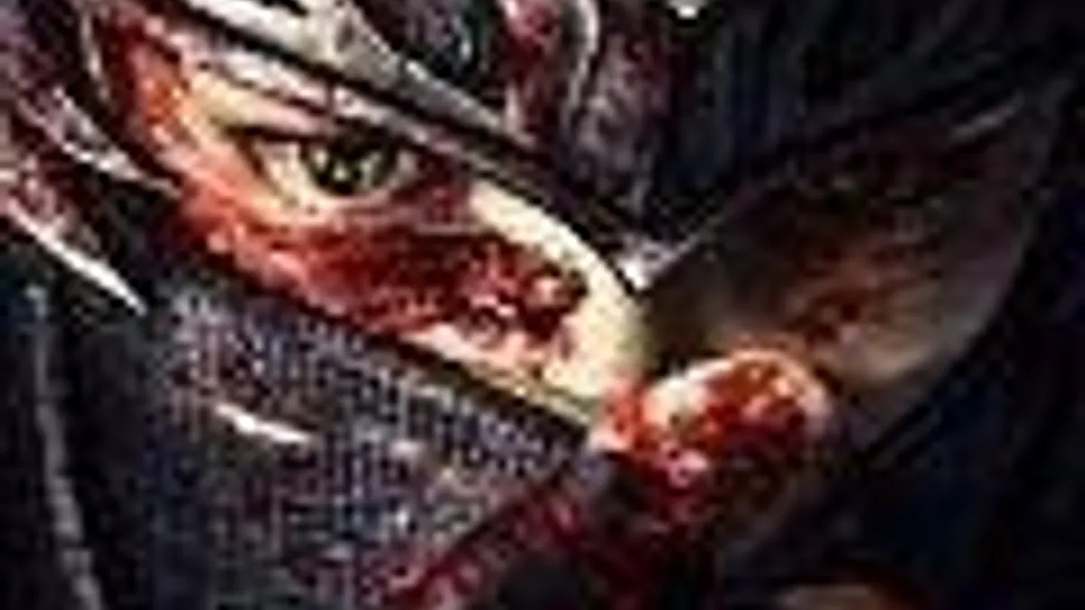 Hlavní obrázek článku: Ninja Gaiden III v únoru 2012