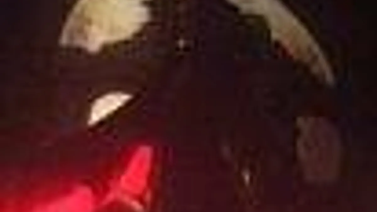 Hlavní obrázek článku: Nová Castlevania pro PS3 a X360