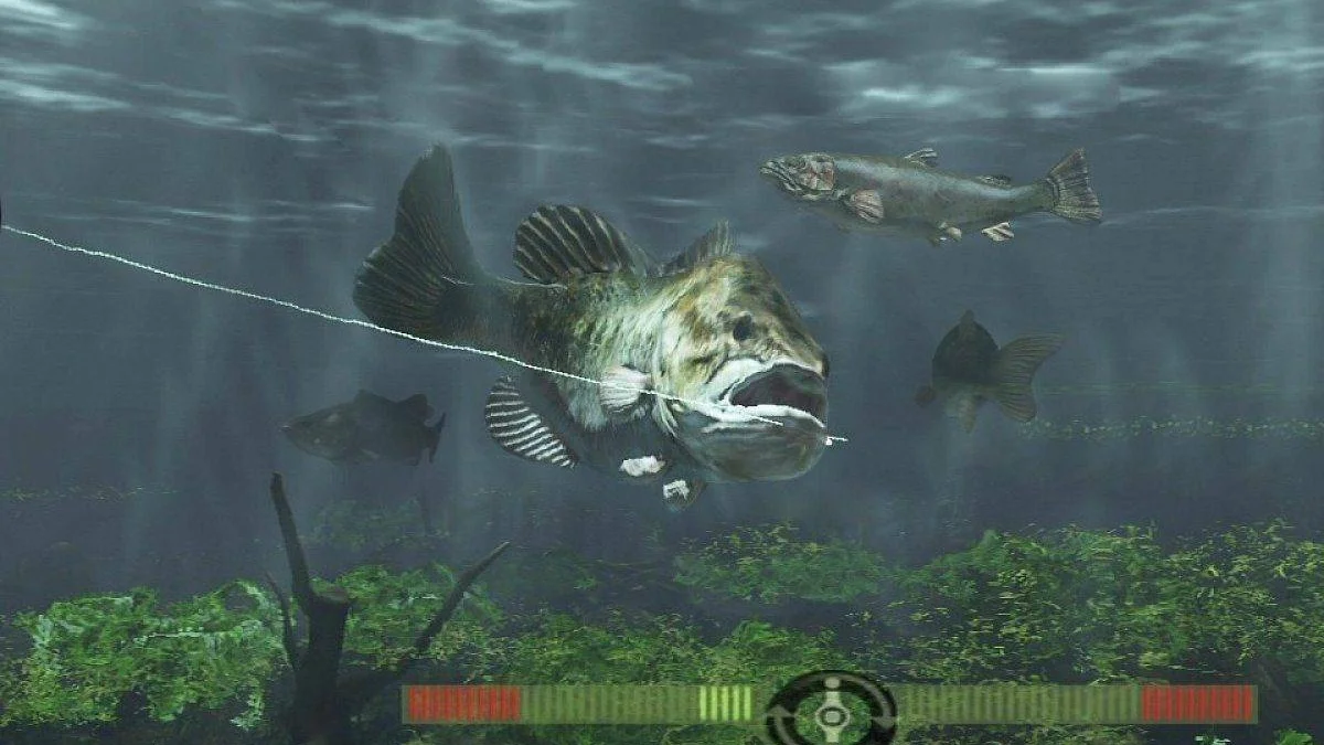 Rapala Fishing Frenzy 2009