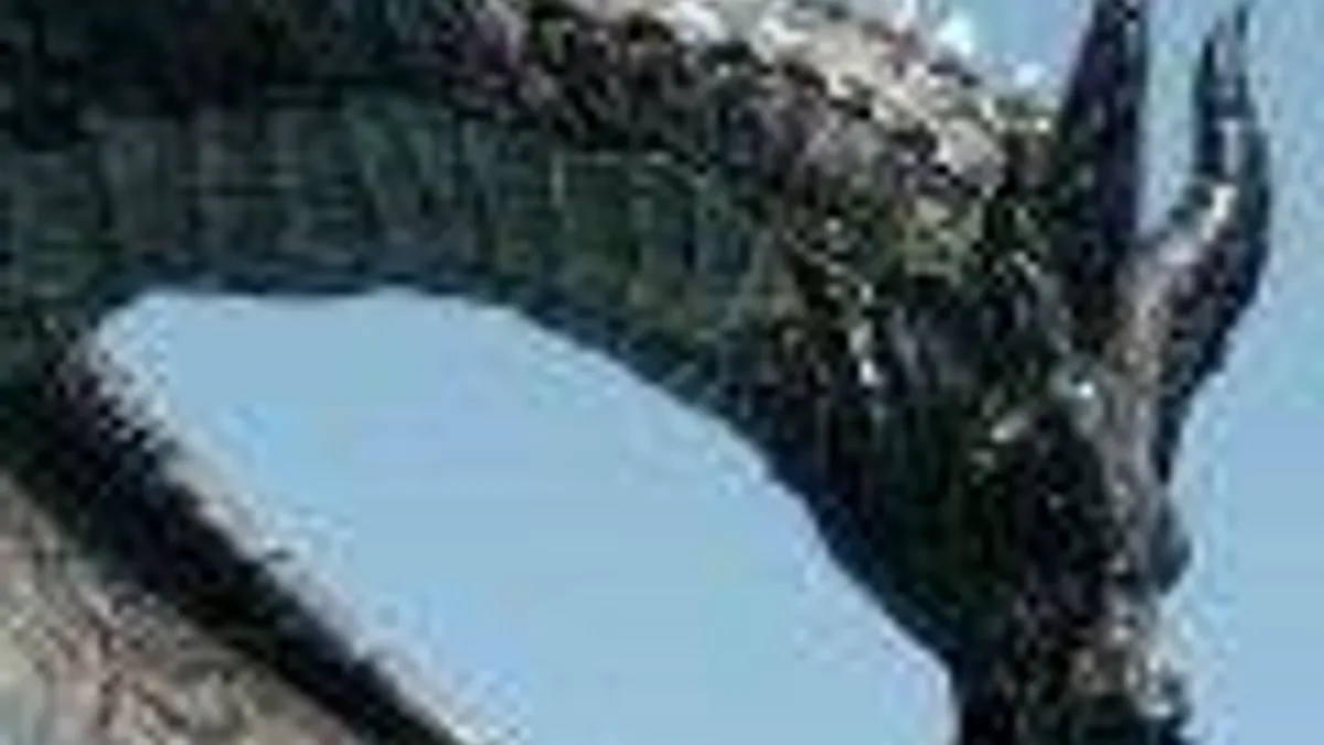 Hlavní obrázek článku: DLCčka Dragoborn, Dawnguard a Hearthfire pro Skyrim mají datum pro PS3