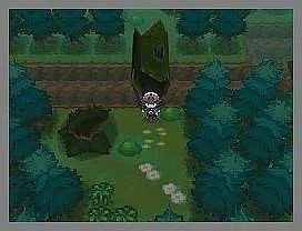 Pokemon White Version