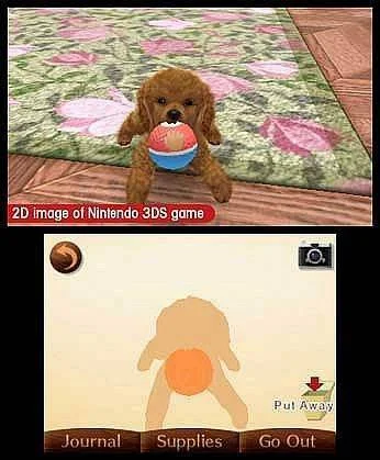 Nintendogs + Cats