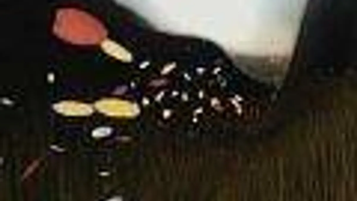 Hlavní obrázek článku: Flower má datum	