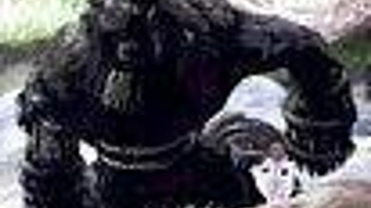 Hlavní obrázek článku: Team ICO hra na VGA