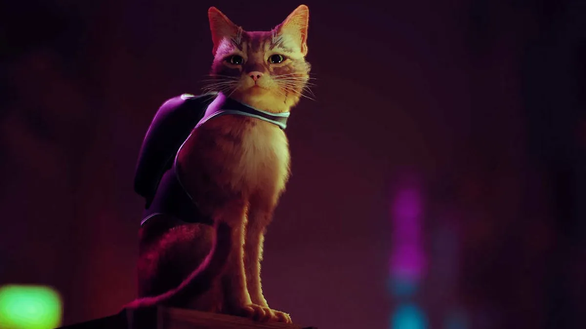 Hlavní obrázek článku: Informace o hře Stray