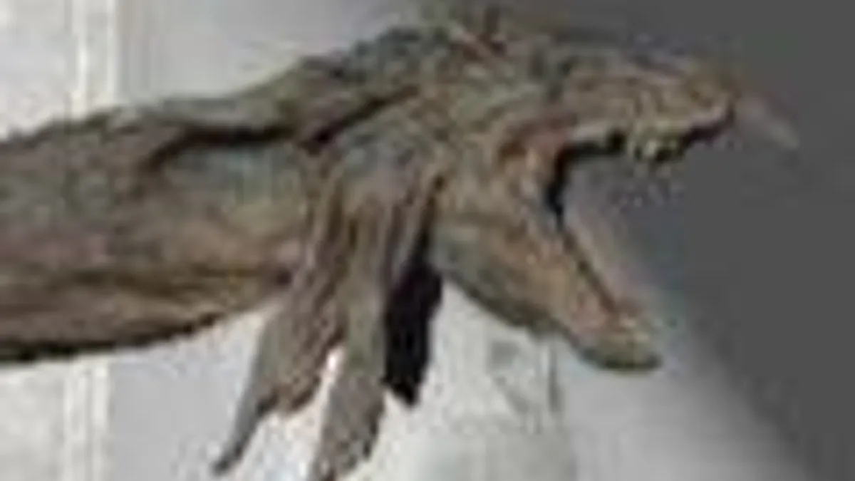 Hlavní obrázek článku: Panta Rhei Engine v nové ukázce