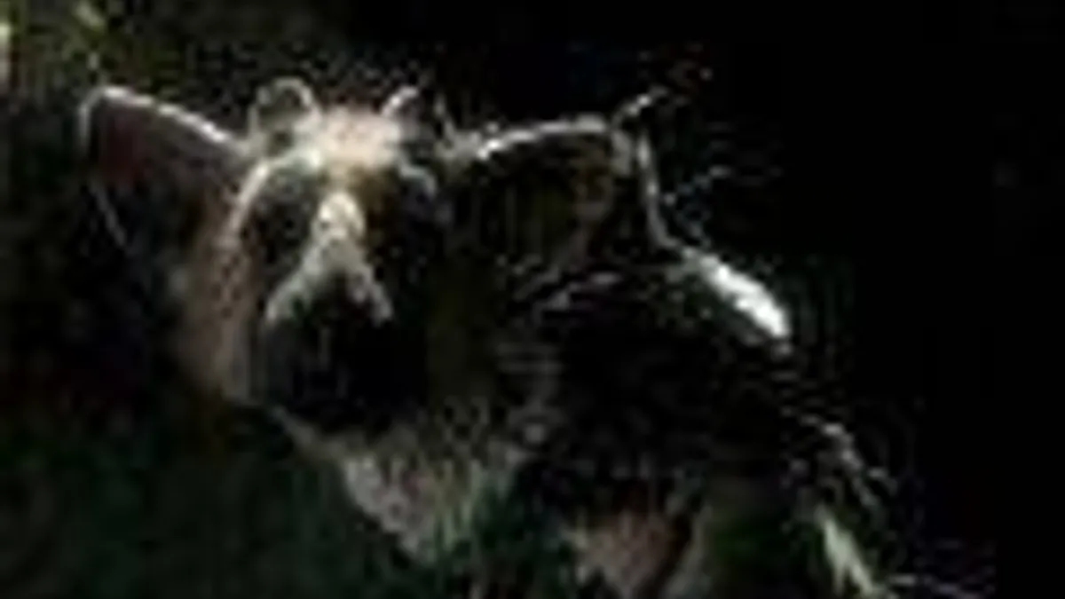 Hlavní obrázek článku: The Last Guardian se připomíná v krátkém rozhovoru