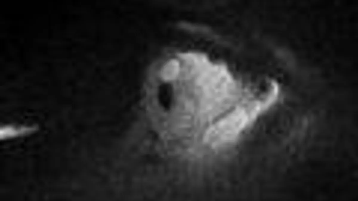 Hlavní obrázek článku: Horor Insane našel nové vývojáře, vyjde v roce 2015