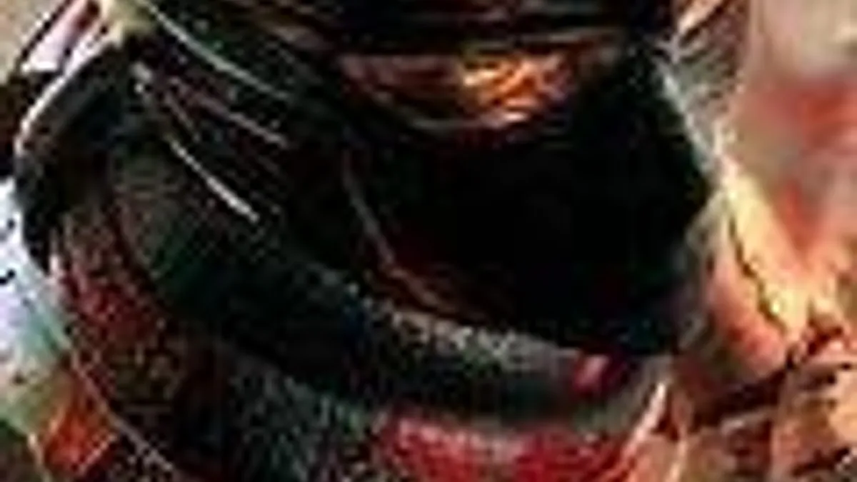 Hlavní obrázek článku: První deníček na Ninja Gaiden 3