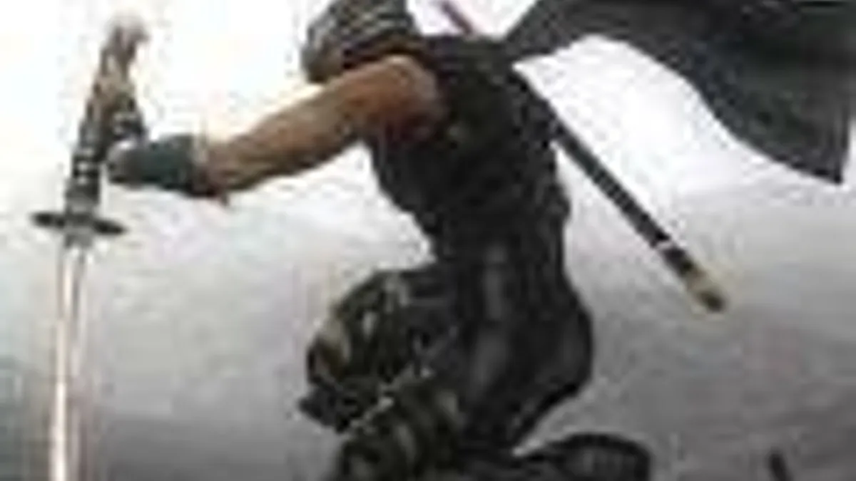 Hlavní obrázek článku: Nádherné obrázky z Ninja Gaiden Sigma 2