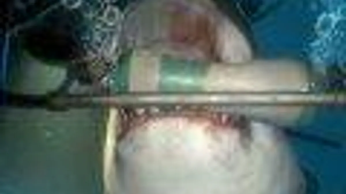 Hlavní obrázek článku: Obrázky z připravovaných her pro Project Morpheus - London Heist nebo The Deep