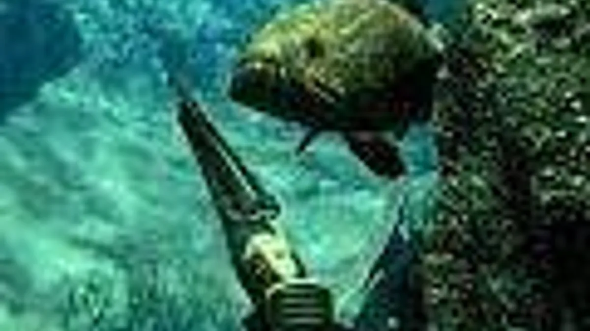 Hlavní obrázek článku: Oznámen Spearfishing