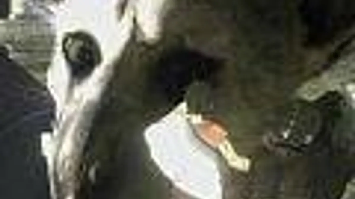 Hlavní obrázek článku: Sony: The Last Guardian není zrušen