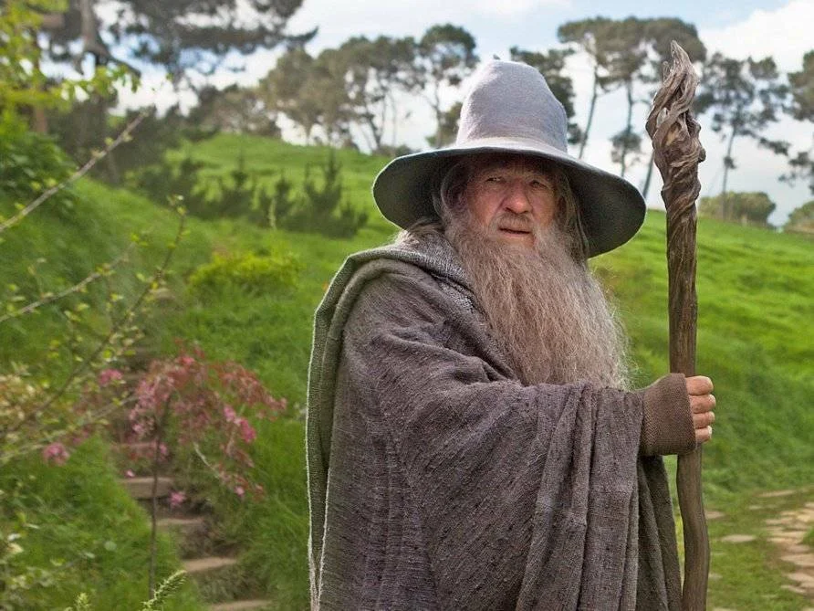 Hlavní obrázek článku: V nové bojovce od Warner Bros. se proti sobě postaví Gandalf a Batman