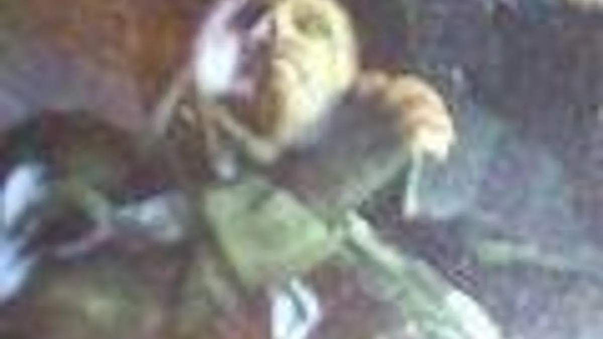 Hlavní obrázek článku: Mad Hatter se objeví v Batman: Arkham Origins