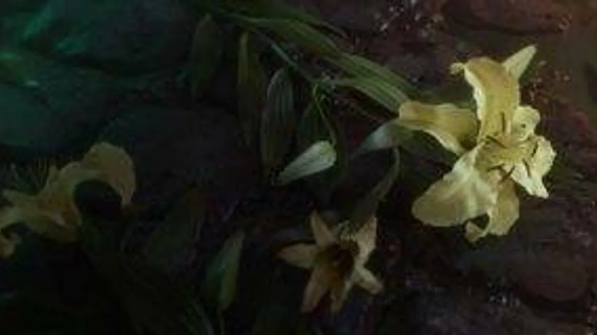 Hlavní obrázek článku: Final Fantasy VII Remake nebude mít nové postavy