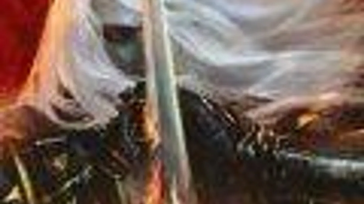 Hlavní obrázek článku: Castlevania: Lords of Shadow – Mirror of Fate má první recenze