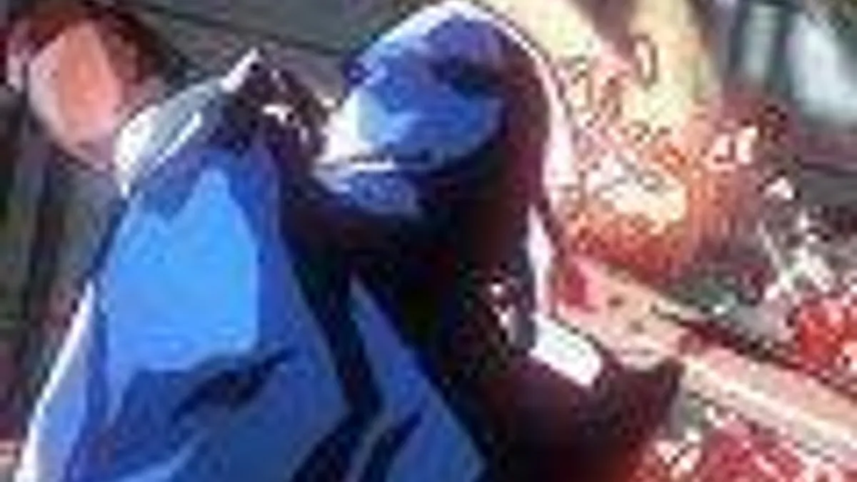 Hlavní obrázek článku: Yaiba: Ninja Gaiden Z - Battle Trailer