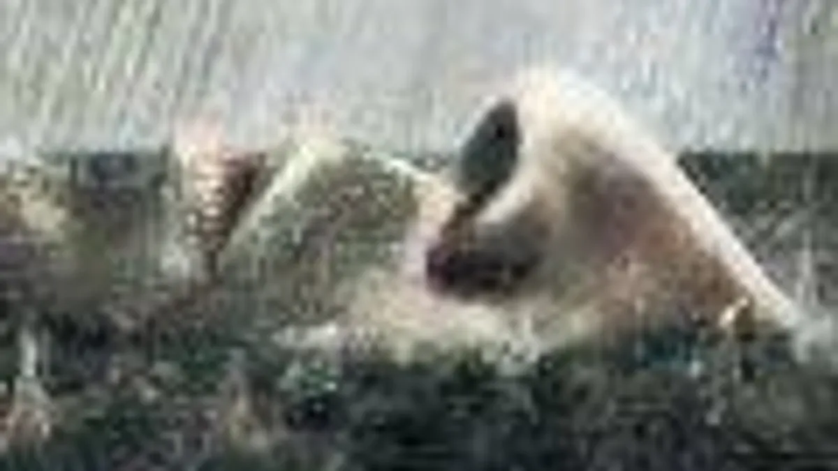 Hlavní obrázek článku: Quantic Dream: Sony na Heavy Rain vydělala