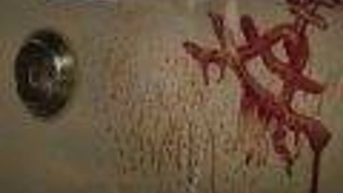 Hlavní obrázek článku: Murdered: Soul Suspect má přesné datum vydání