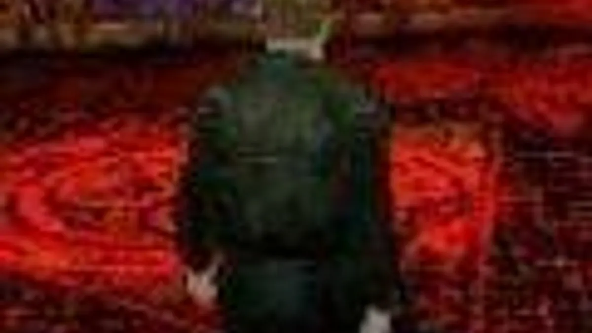 Hlavní obrázek článku: WayForward pracoval na Silent Hillu pro Nintendo DS