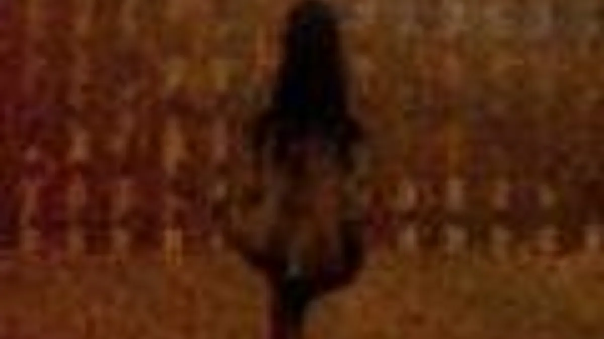 Hlavní obrázek článku: Horor Forgotten Memories se dostane na Nintendo Wii U