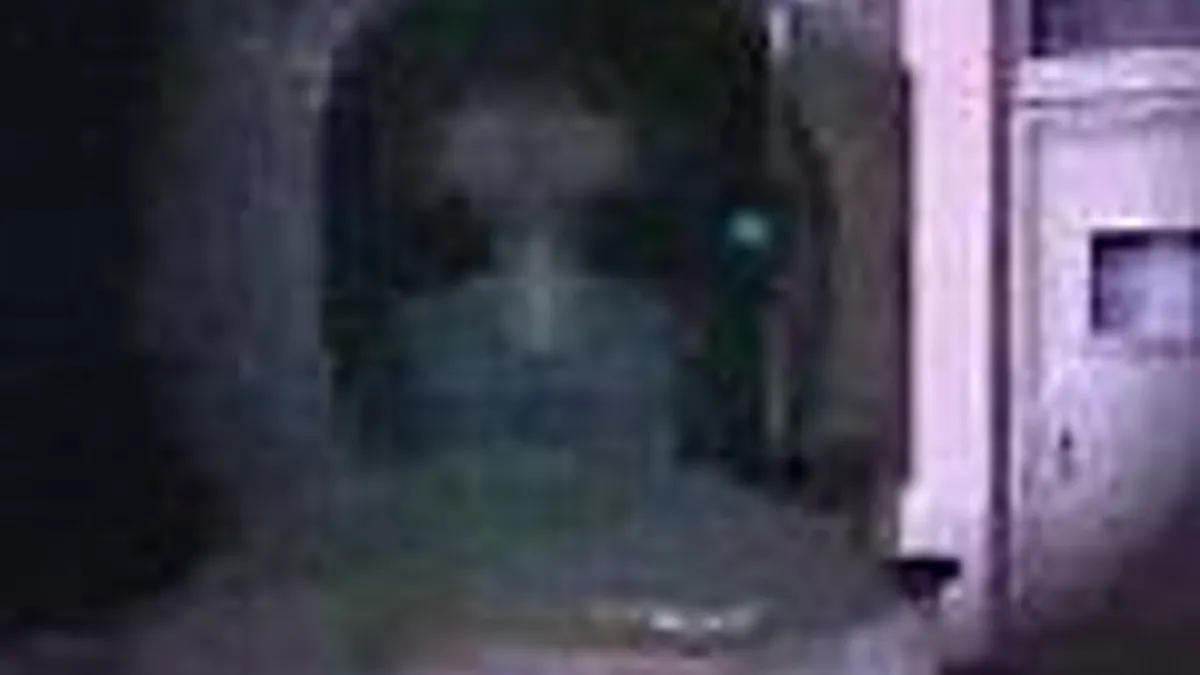 Hlavní obrázek článku: Calling &ndash; nový Wii horor