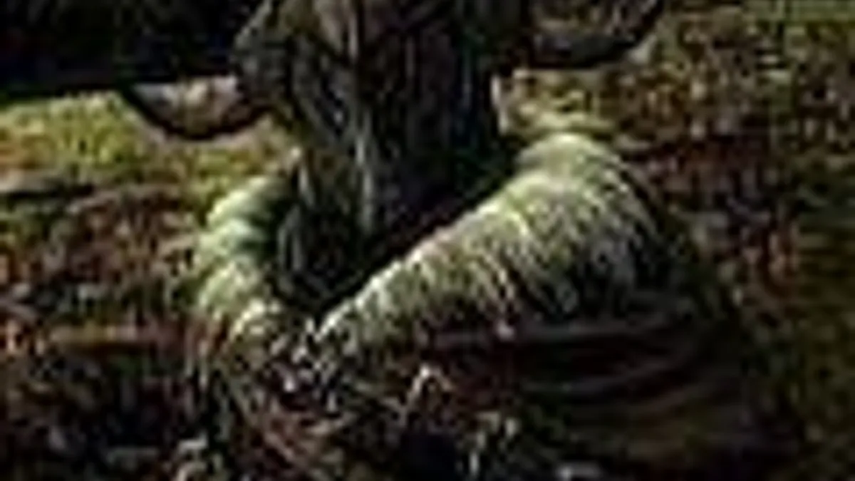 Hlavní obrázek článku: The Lord of the Rings: War in the North – rozšířený E3 trailer