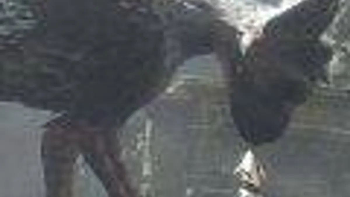 Hlavní obrázek článku: The Last Guardian je stále v plánu