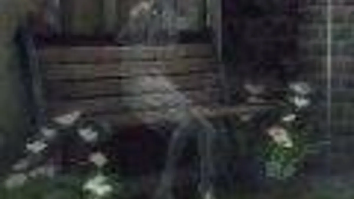 Hlavní obrázek článku: Rain v novém traileru Two Silhouettes