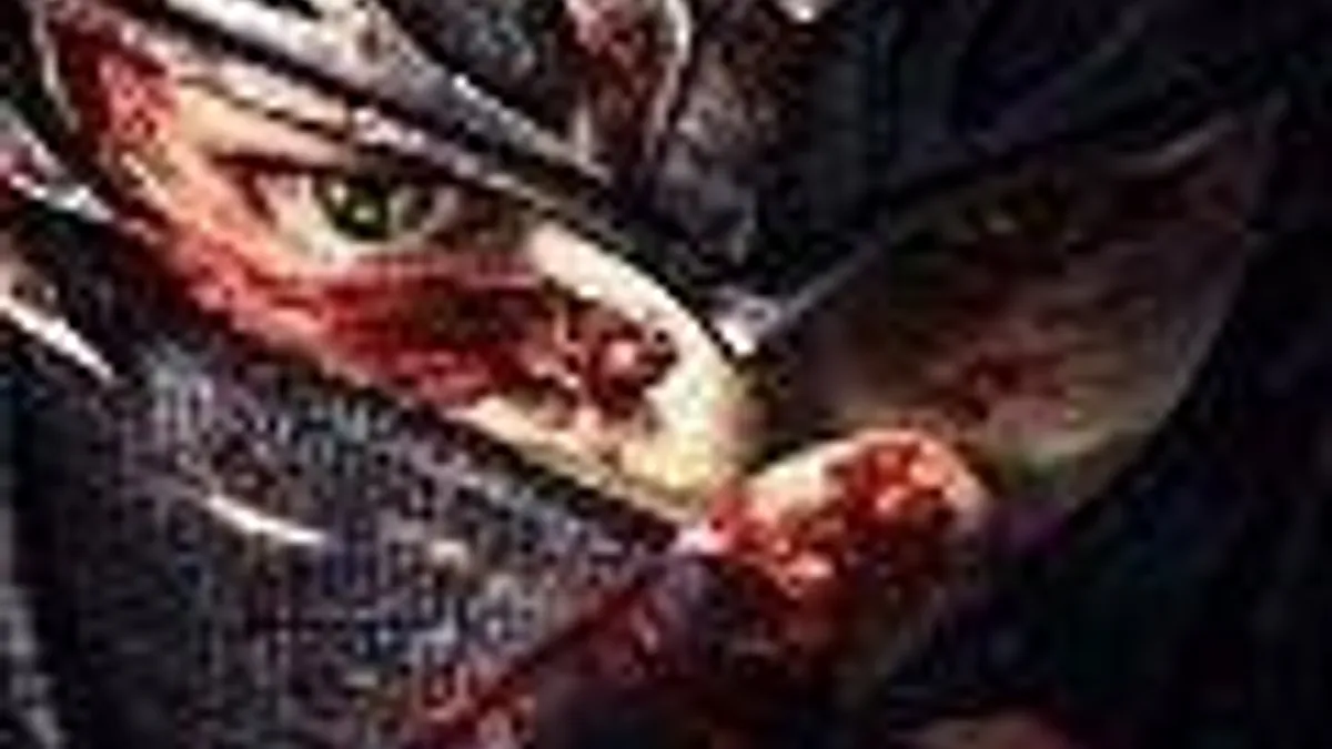Hlavní obrázek článku: Ninja Gaiden na vás bude stříkat krev pravděpodobně i na PS Vita