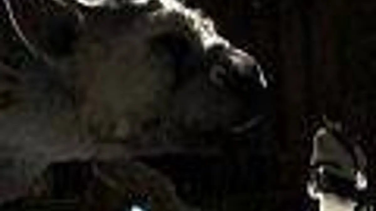 Hlavní obrázek článku: The Last Guardian podrobnosti