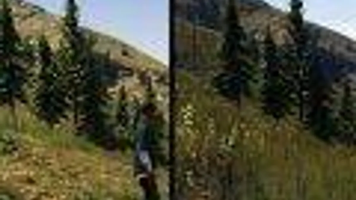 Hlavní obrázek článku: Grand Theft Auto V – framerate test