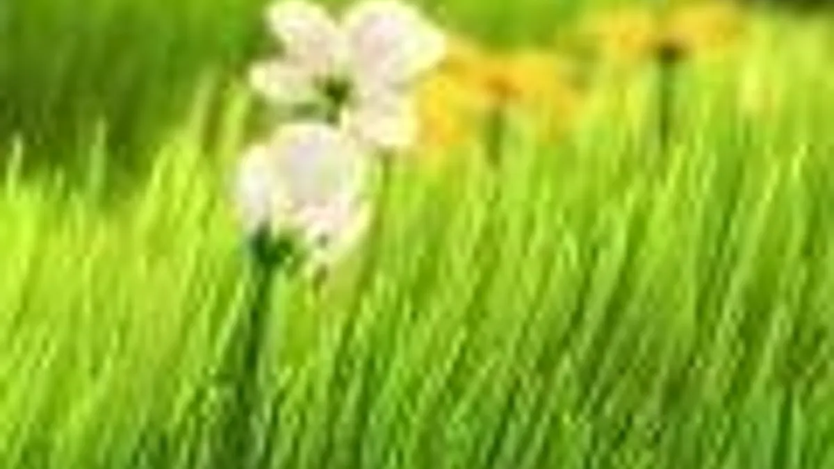 Hlavní obrázek článku: Budoucí hry od Thatgamecompany zřejmě i na další platformy