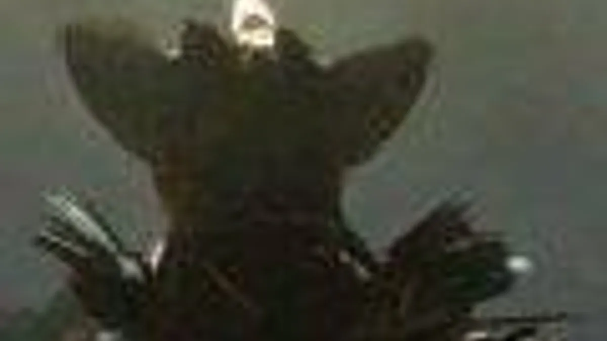 Hlavní obrázek článku: Sony: The Last Guardian je stále ve vývoji