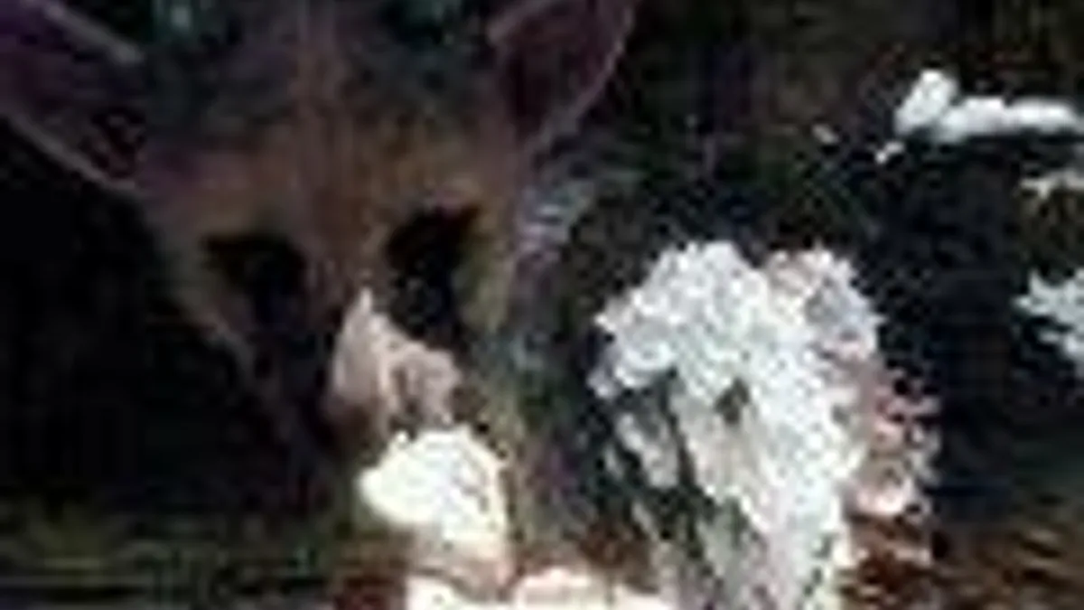 Hlavní obrázek článku: SCEJ plánuje zásobovat PS4 velkým množstvím her