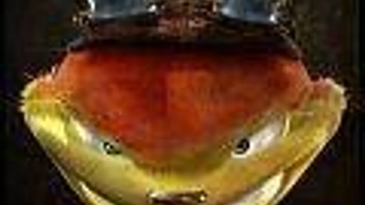 Hlavní obrázek článku: Naughty Dog o sérii Jak and Daxter