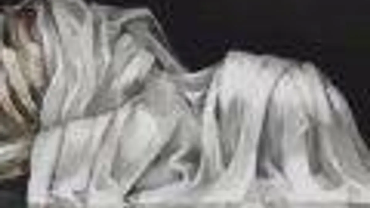 Hlavní obrázek článku: Dragon’s Crown slaví v Japonsku úspěch