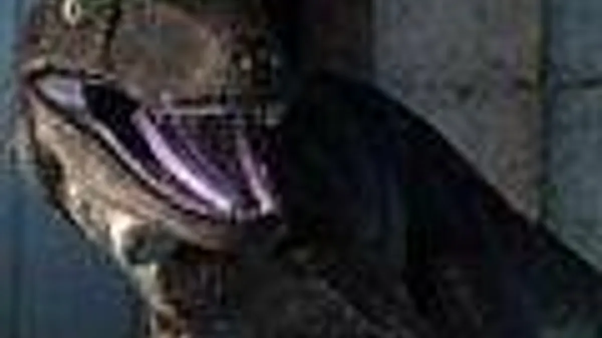 Hlavní obrázek článku: Jurassic Park: The Game vydá v Evropě Kalypso Media