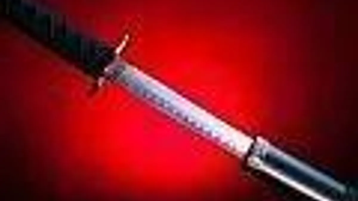 Hlavní obrázek článku: Student zabil zloděje samurajským mečem