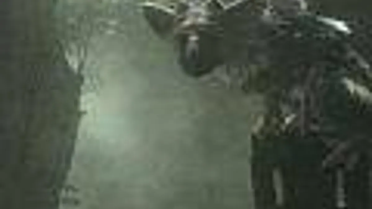 Hlavní obrázek článku: The Last Guardian 